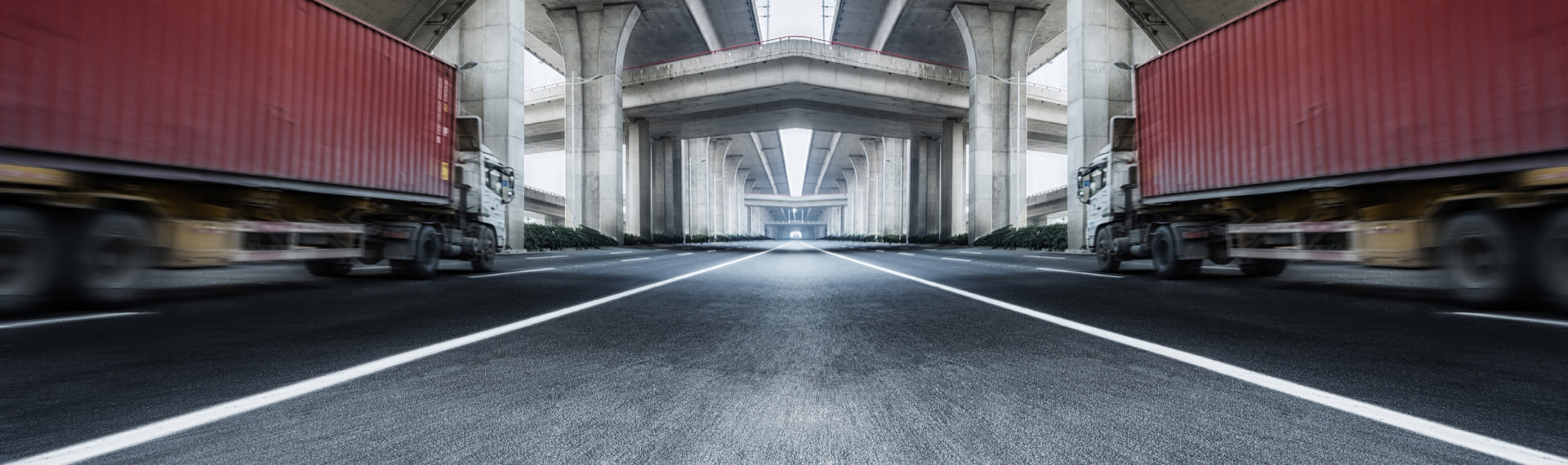 Serviços da DayTransportes